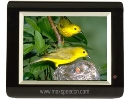 digital photo frame