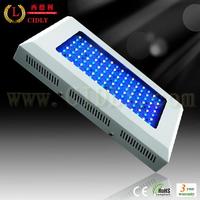 led coral light