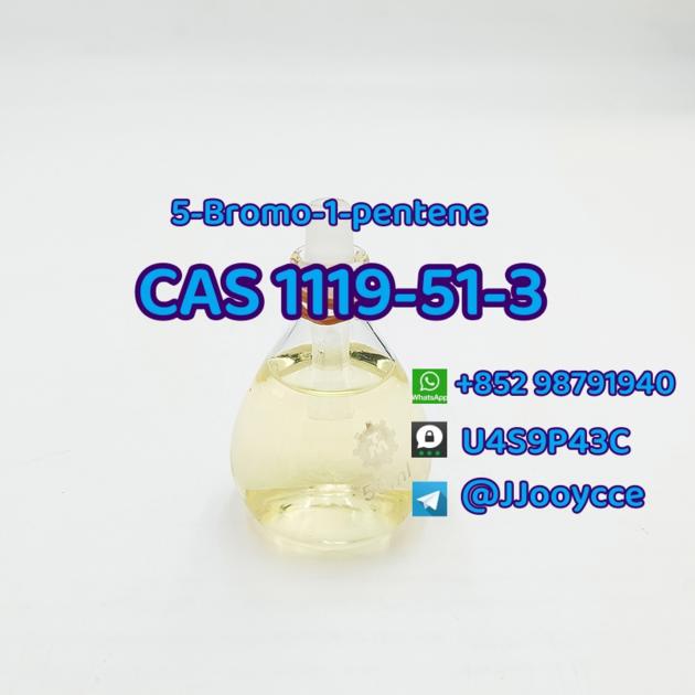 CAS 1119 51 3 5 Bromo