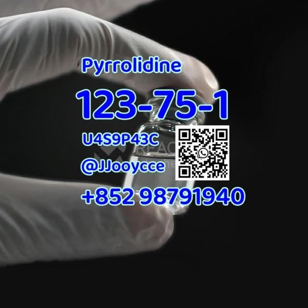 Hot Selling Pharmaceutical Intermediates CAS 123