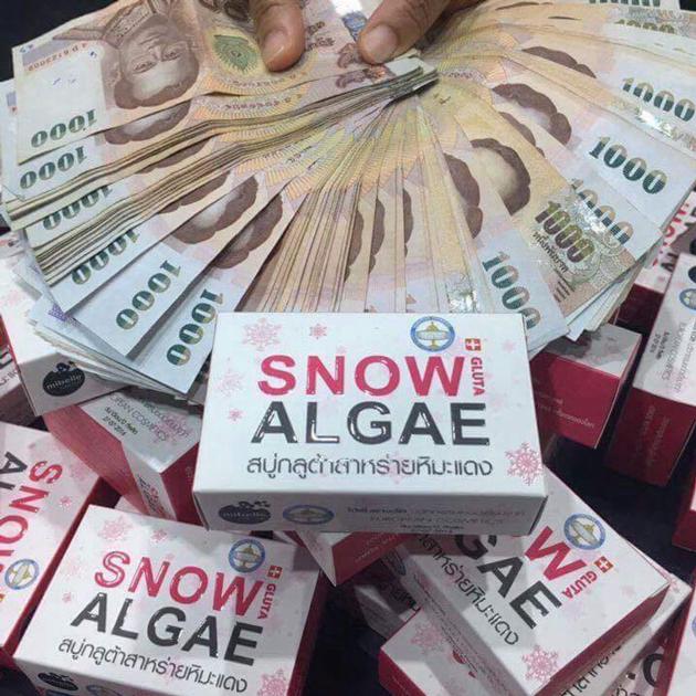 SNOW ALGAE + Swiss Bio-Stem Cells Advanced Perfecting Concentrate