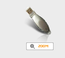U disk