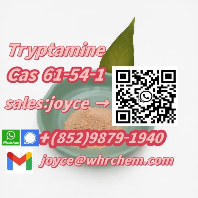 factory supply high quality Tryptamine Cas 61-54-1