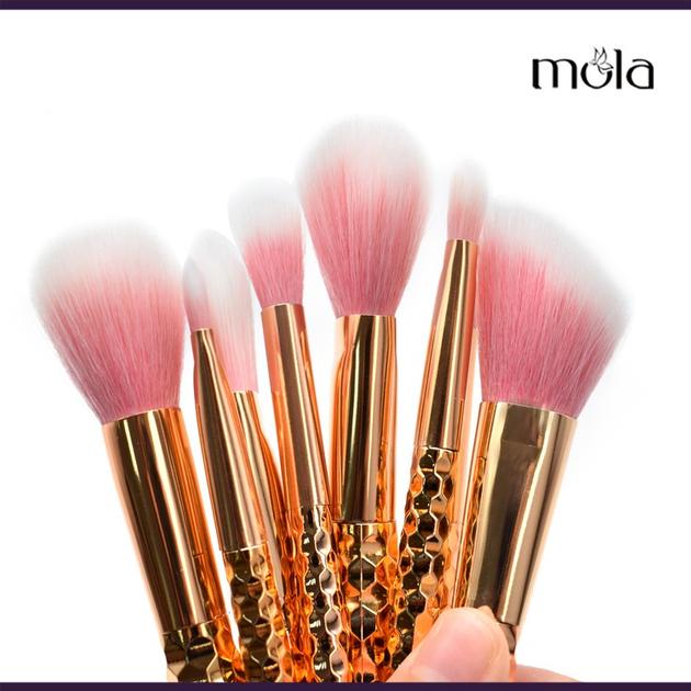 Mola 2017 Create Your Own Brand