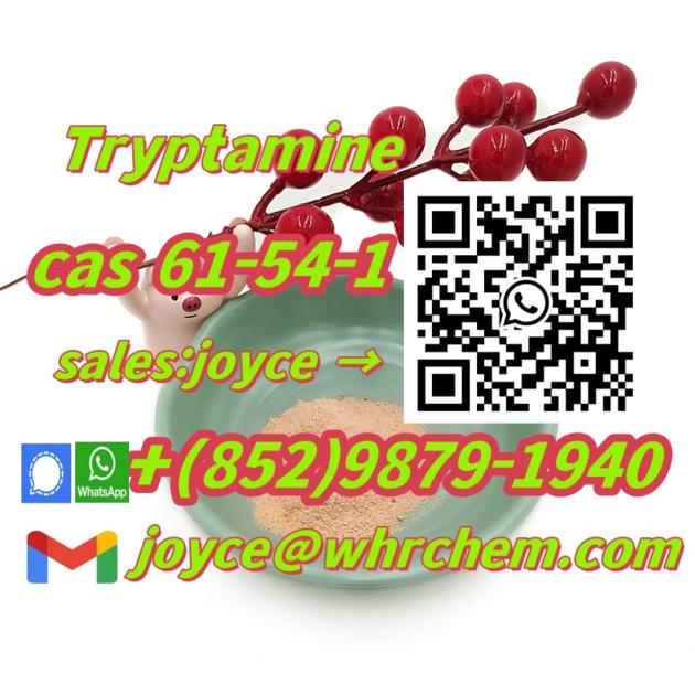  61-54-1 trptamine High purity, best price guarantee your satisfaction