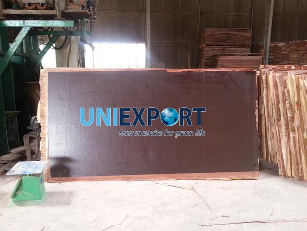 Hardwood Construction Plywood