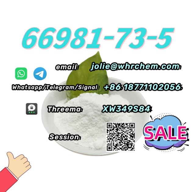 Top Factory CAS 66981 73 5