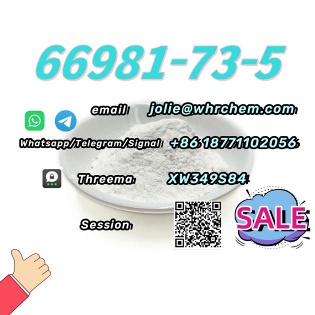 Top Factory CAS 66981 73 5