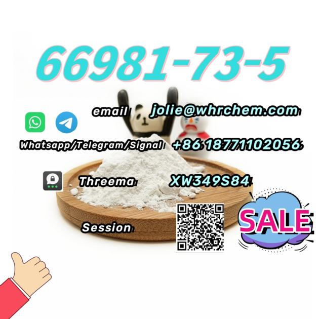 Top Factory CAS 66981 73 5