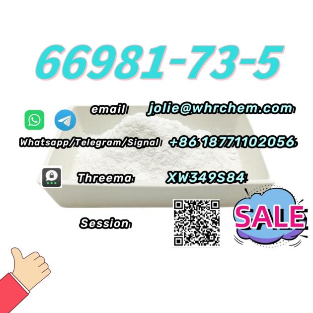 Top Factory CAS 66981 73 5