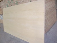 Plywood (XLJHB-001)