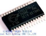 Memory Chip
