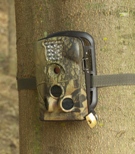 scouting camera