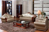 Living Room Leather Sofa (A270)