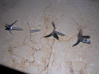Blender Blade