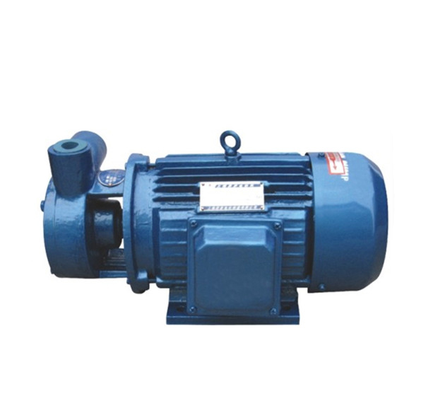W double stages type vortex pump