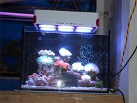 led aquarium light