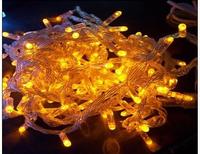 4.5V-20L-Micro LED  string light