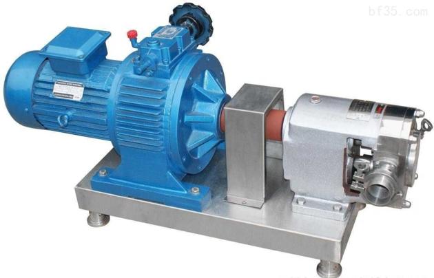 D-3A stainless steel cam lobe flex pump high viscosity adjustable speed sanitary lobe pump