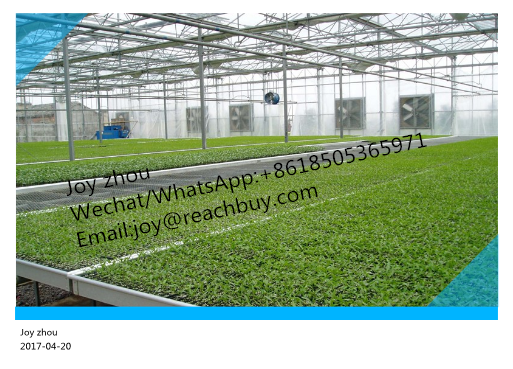 Greenhouse Exhaust Fan