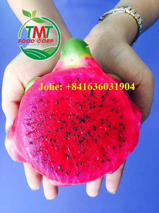 Fresh Dragon Fruit