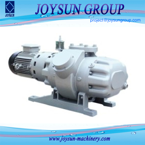 Roots vacuum pump