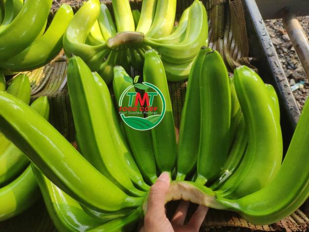 Fresh Cavendish Banana