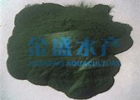 Spirulina powder