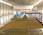 Float glass Coated glass Safety glass Mirror