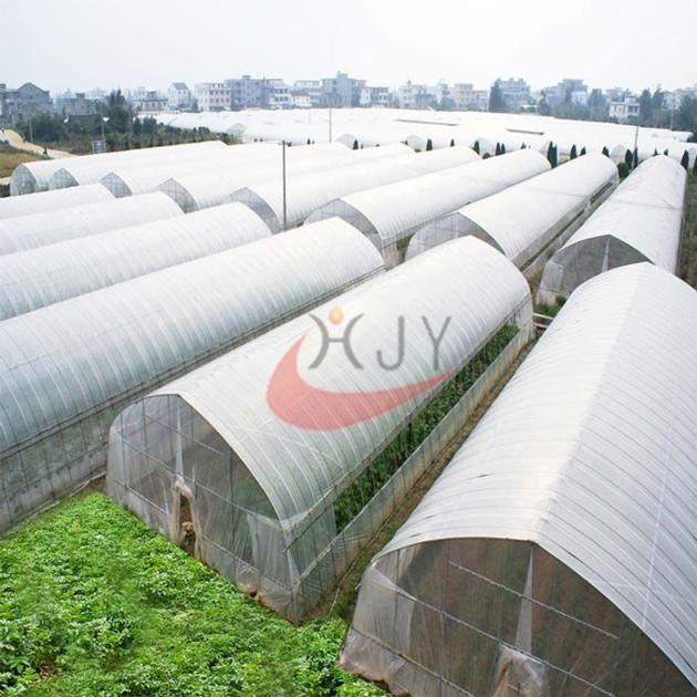 Agricultural Single Span Plastic Film Greenhouse 