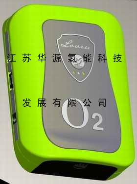 Portable oxygen generator