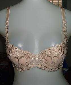 bra