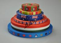 Polyester Heat Transfer Printed Webbing 