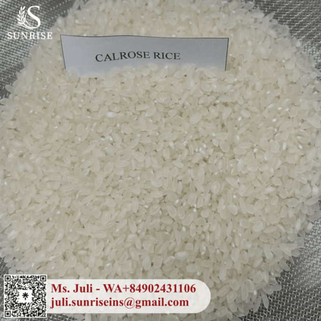 Short Grain Japonica Calrose Rice Polish