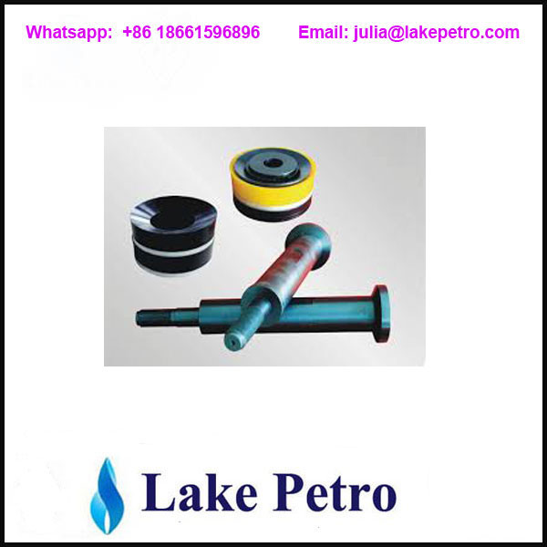 Piston Assembly For PZ 8 Mud