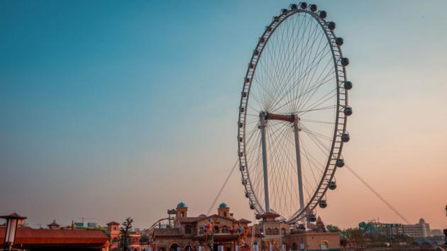 99m Carnival Ferris Wheel