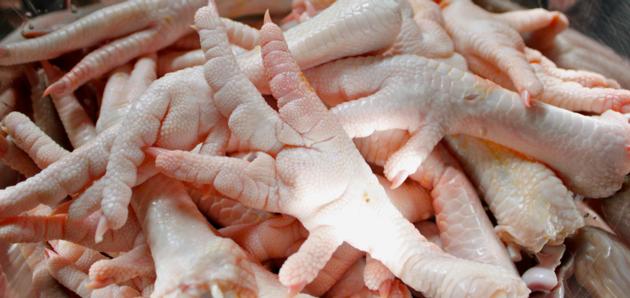Frozen Chicken Feet, paws, wings
