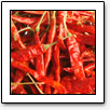 Spices