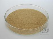 Fodder Yeast