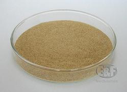 Fodder Yeast