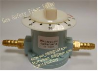 Gas Shut-Off Valve with a Timer Searching Cooperator