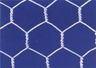 hexagonal wire netting