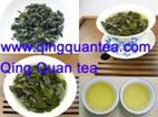oolong tea