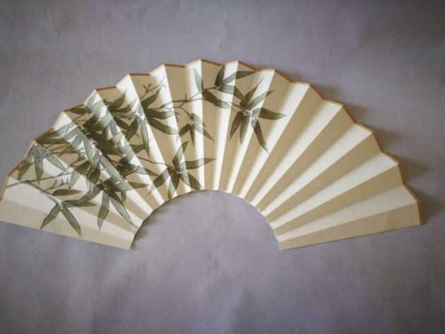 Folding Hand Fan