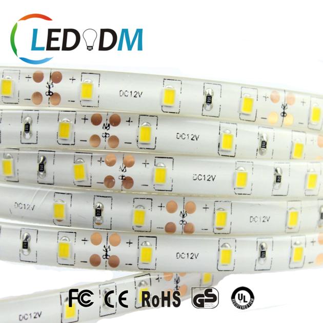 SMD2835 60LEDS M Waterproof Flexible Led