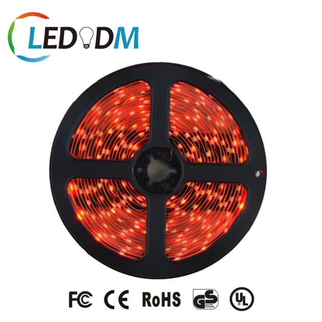 SMD3528 60LEDS M DC12V PCB Led