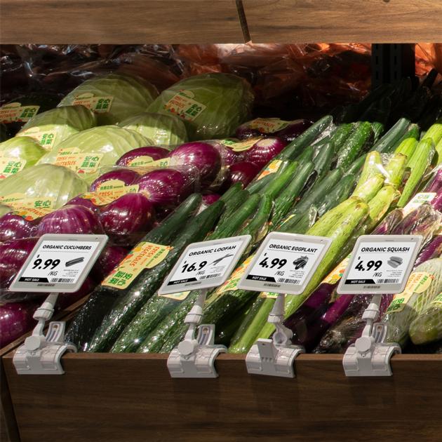 4 2 Inch Electronic Shelf Label