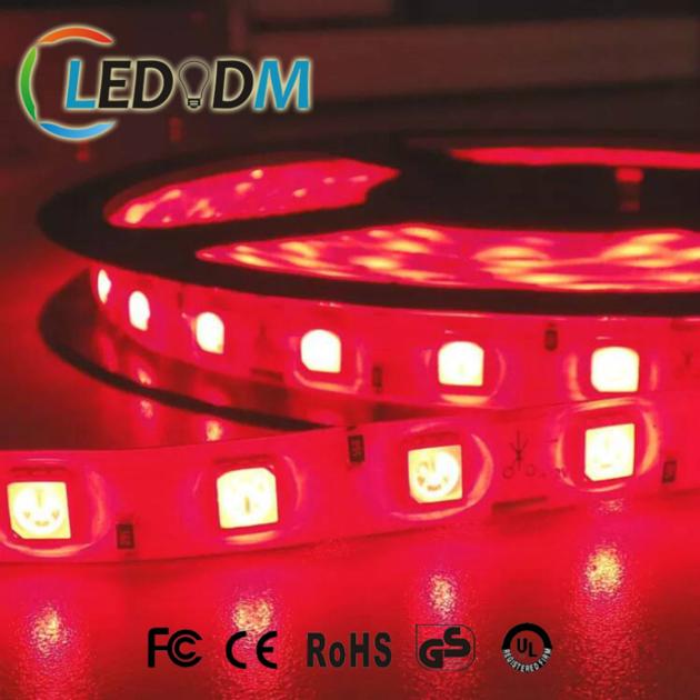 Non Waterproof SMD5050 60Leds DC12V 24V