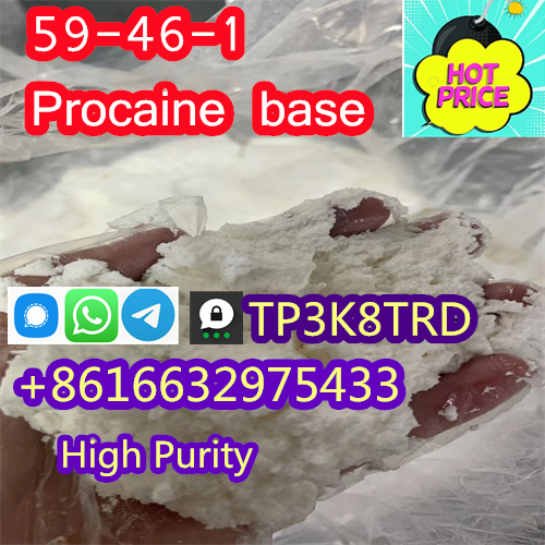 PROCAINE CAS 59-46-1 /51-05-8 Manufacturer Supply