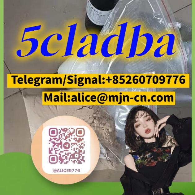 CAS 2504100-70-1 137350-66-4 5cladba	telegram/Signal/line:+85260709776
